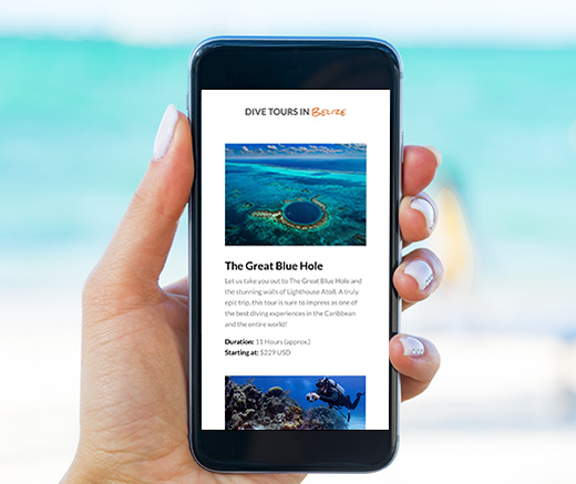 Belize Diving Services web design