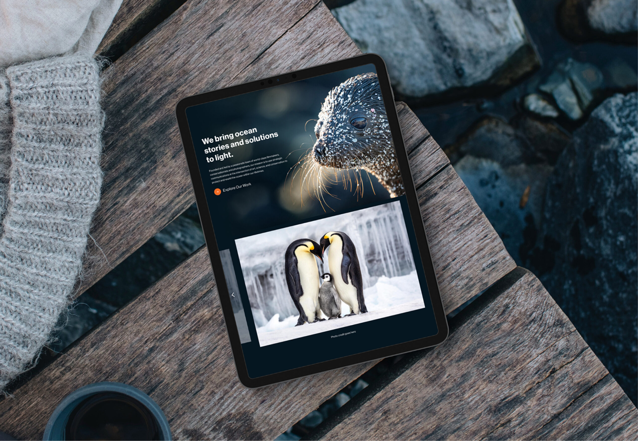 Website layout with content modules and navigation