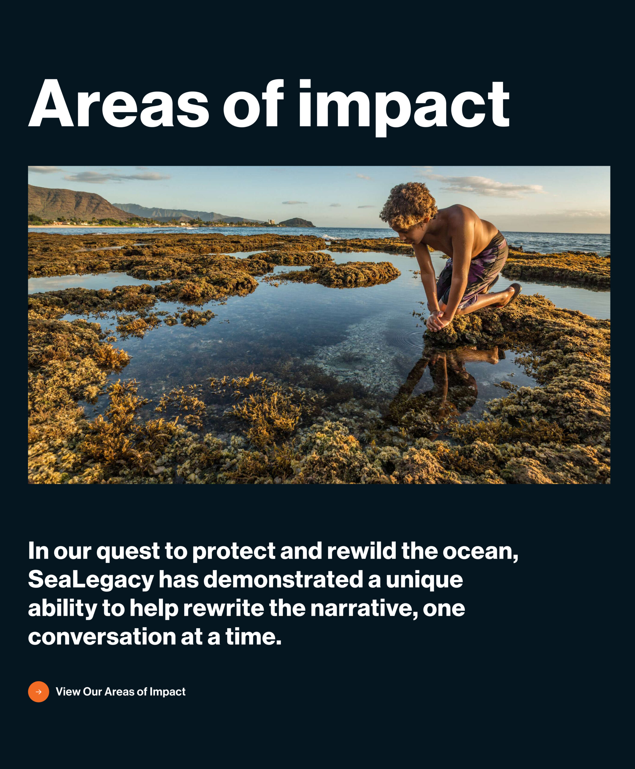 Environmental website with nature imagery and content