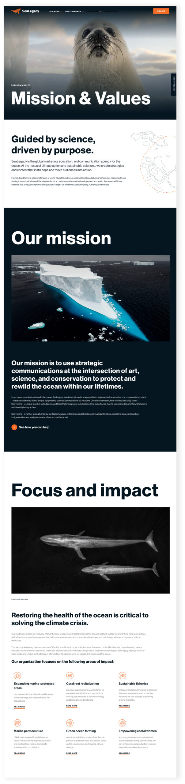 Dark UI interface with content modules