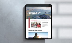 Smartphone displaying mobile website interface