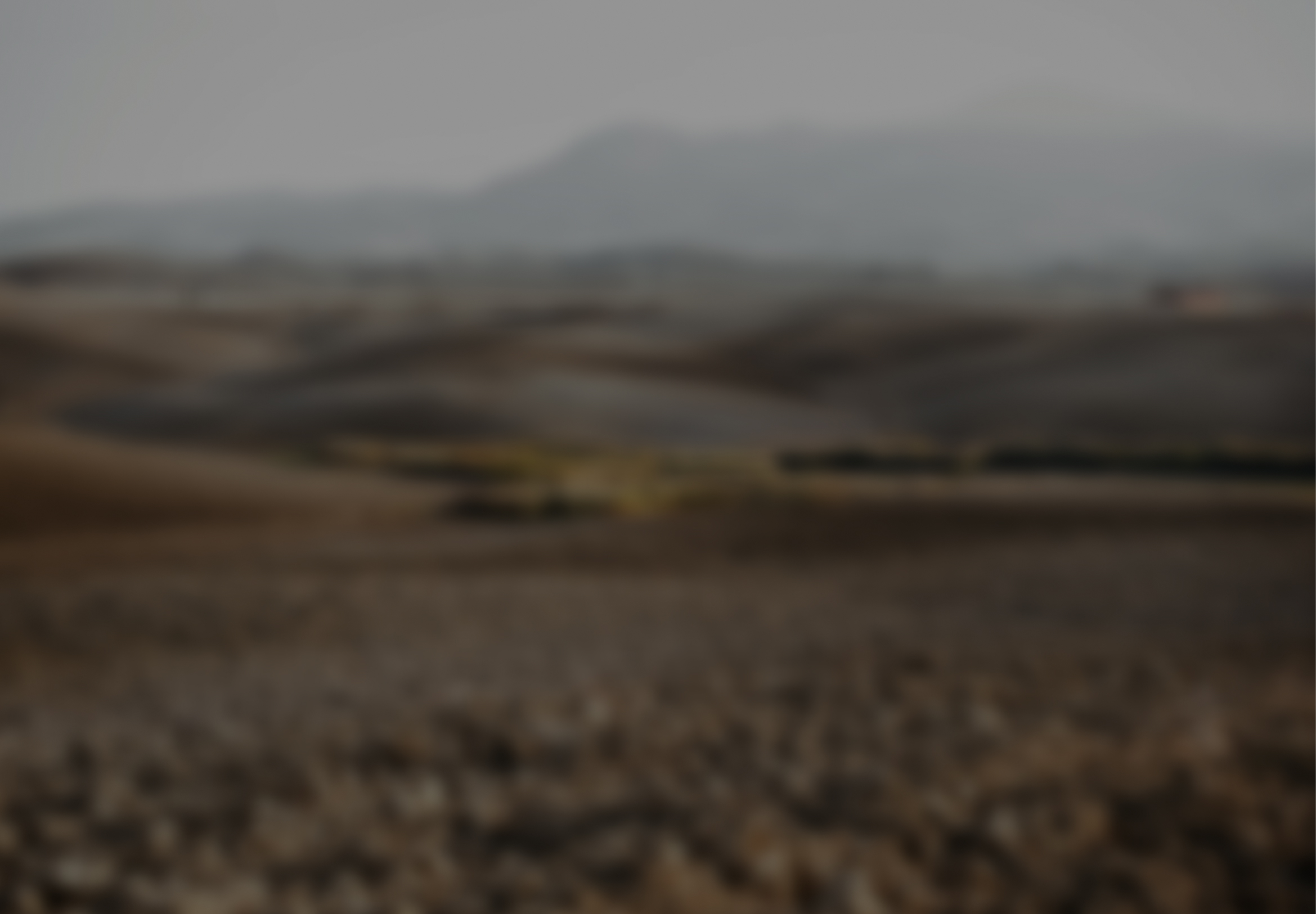 Desert landscape with open terrain