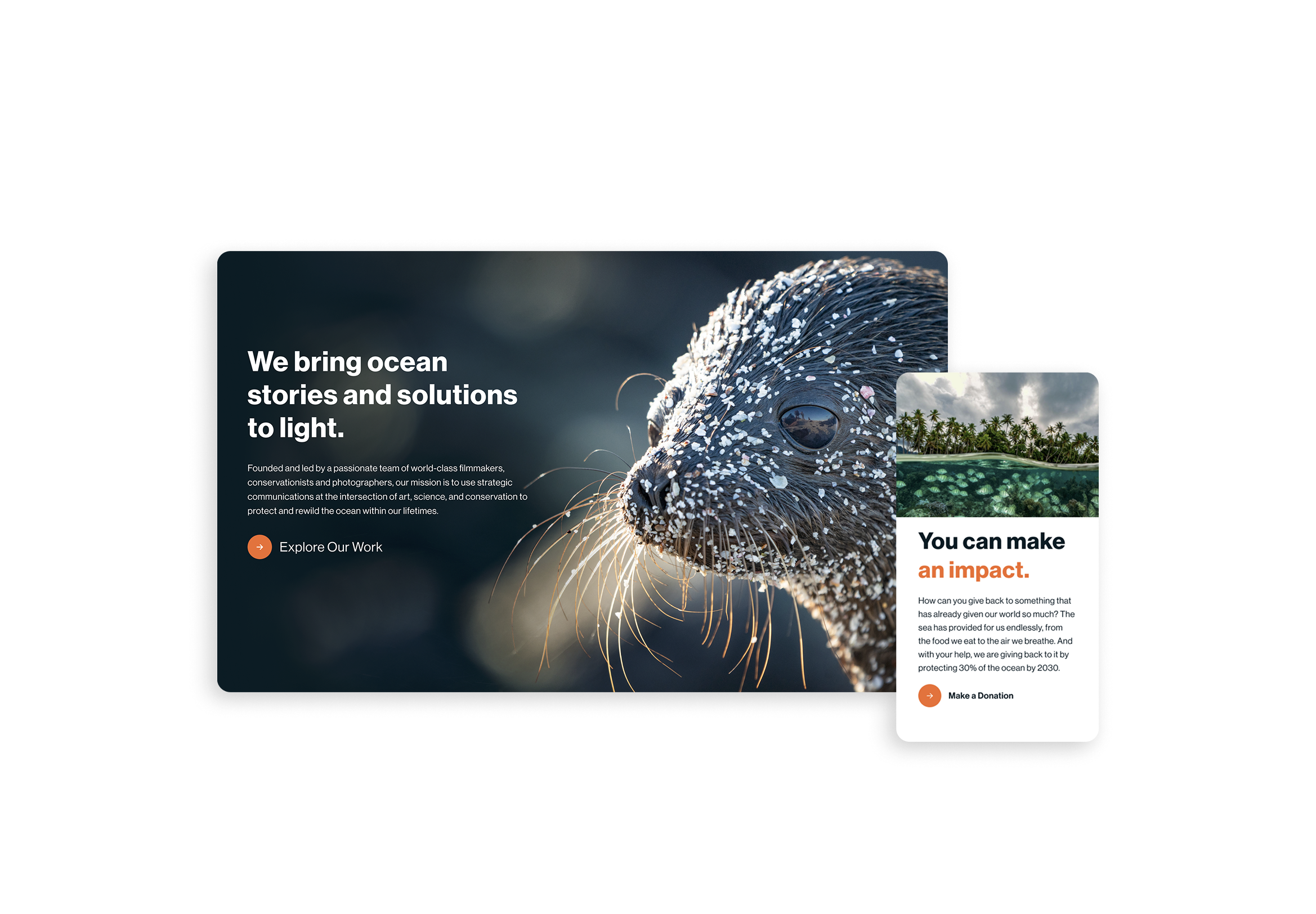 Sea otter website design with donate interface