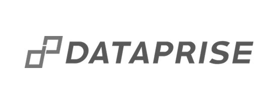 Dataprise logo