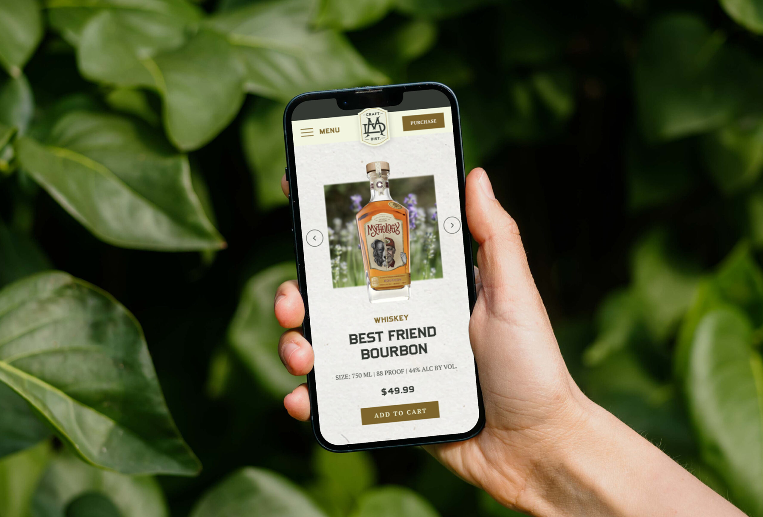 Mobile phone displaying product website in hand