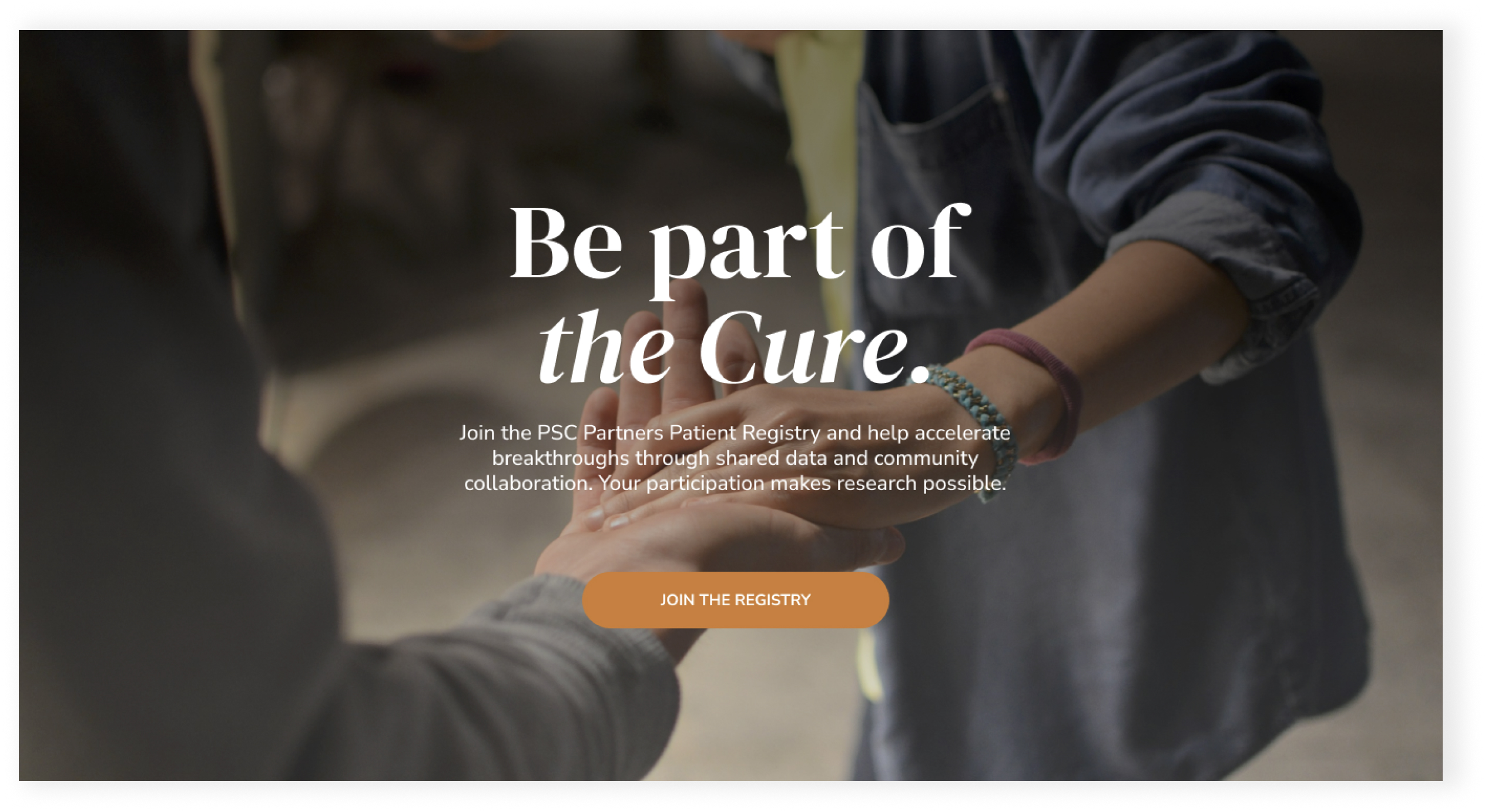 PSC Partners seeking a cure non profit website design